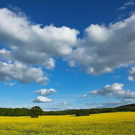 Apartment Ug-birke *
